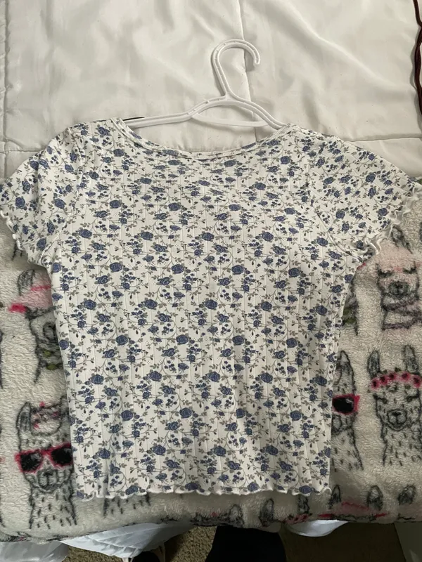 Brandy Melville Zelly Ruffle Top - Image 2