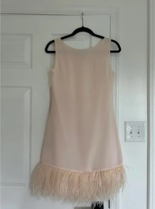 Jessica Simpson Feather Trim Dress - Image 3