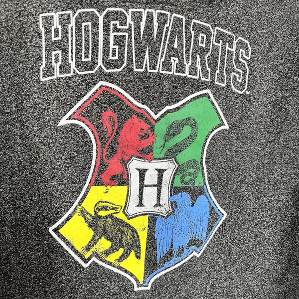 Harry Potter Hogwarts House Crest Gray Hooded Sweatshirt - Image 5