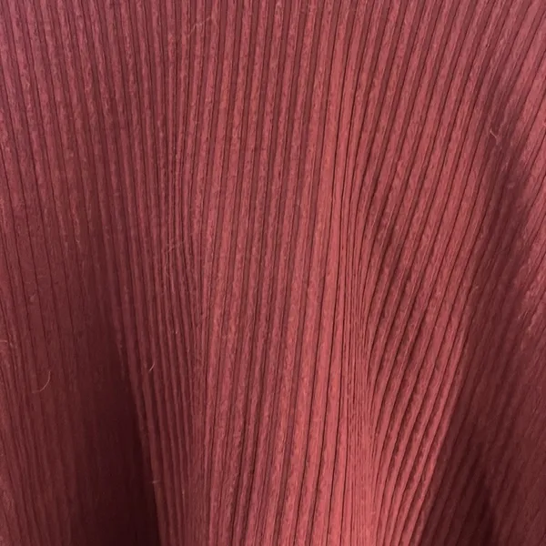 altard state maroon size small cropped sweatshirt - Image 2