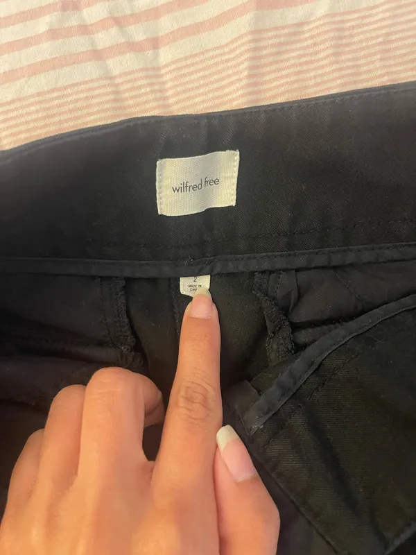 Aritzia Wilfred Pants - Image 2
