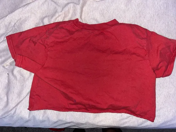 Brandy Melville Top Crop - Image 2