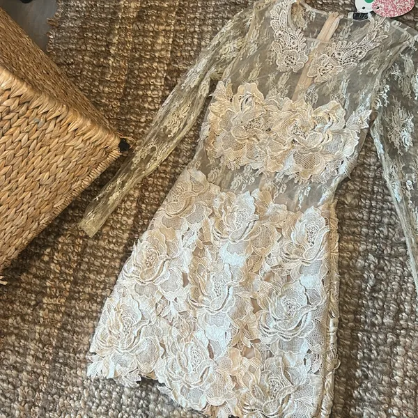 NWT Nellis Boutique Creme Lace Sparkly LS Embellished Dress Size Small - Image 3