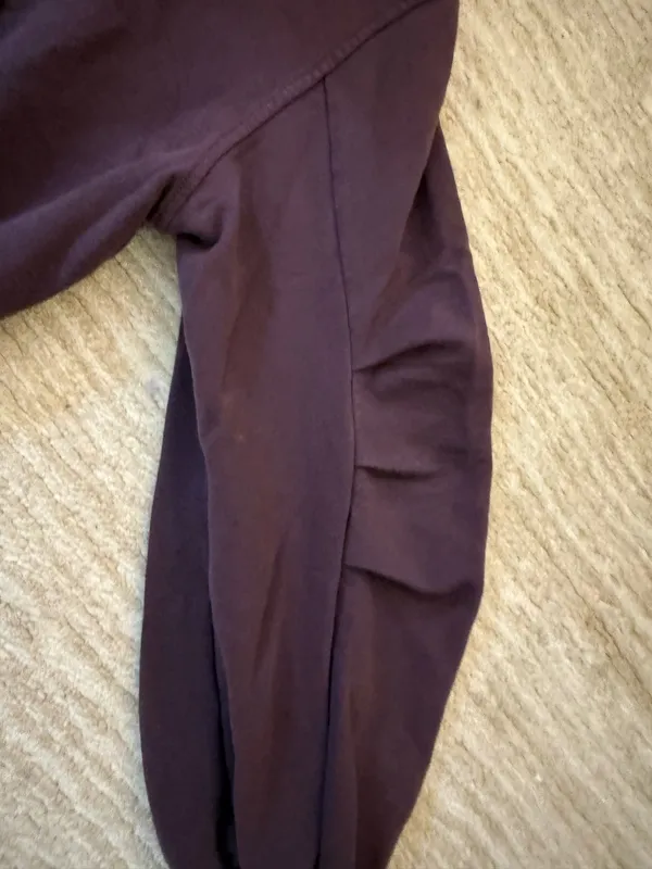 Aerie Jet Setter Hoodie Plum - Image 5