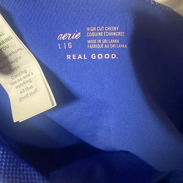 Aerie Electric Blue Cheeky Bikini Bottom - Image 2
