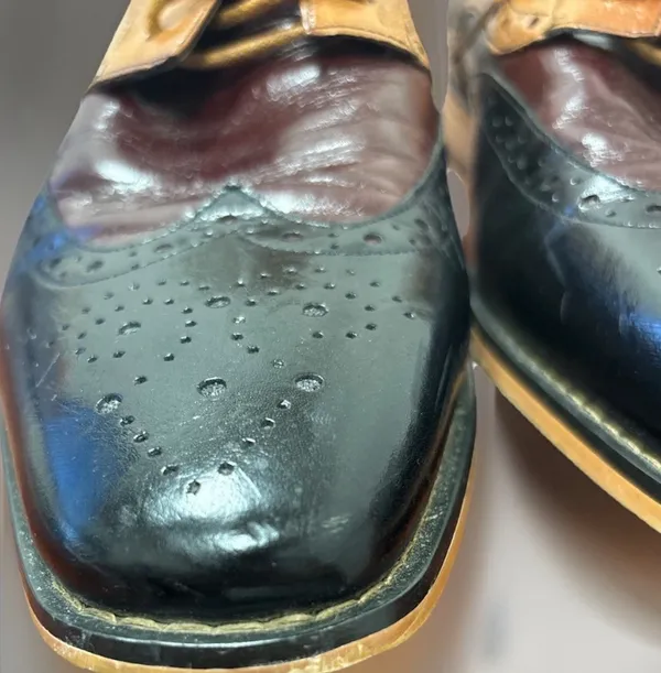 Stacy Adams Wingtip Oxford 9M TriColor Tinsley - Image 5