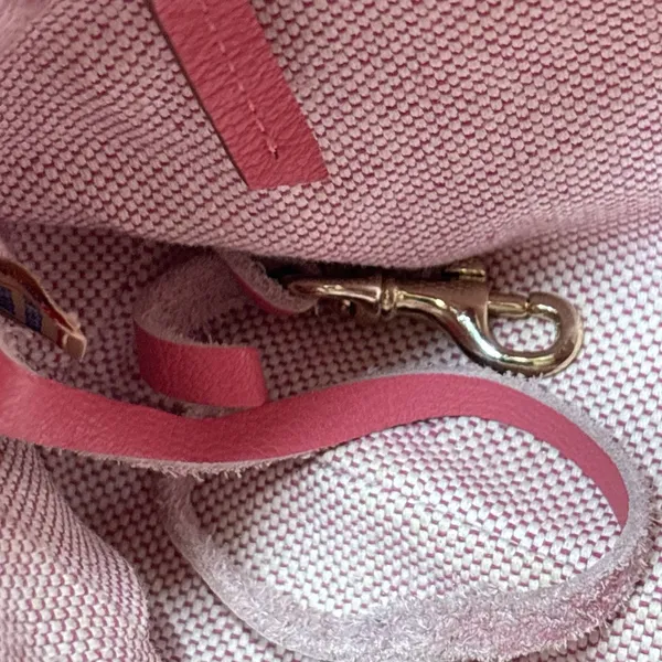 Dooney & Bourke Pink Pebbled Leather Small Shoulder Bag Purse Gold Logo Plate - Image 15
