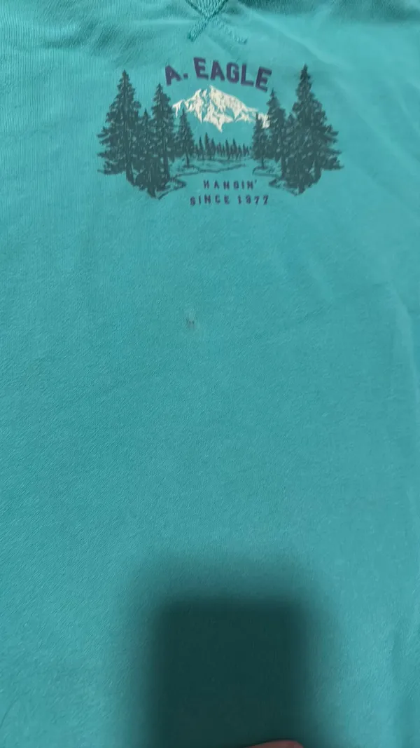 American Eagle Sweatshirt - Image 3