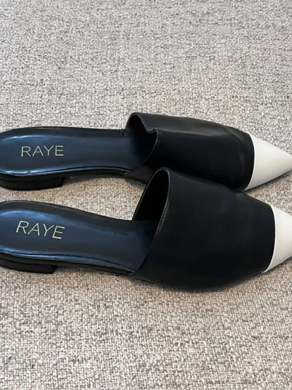 Raye Montebello Slides - Image 3