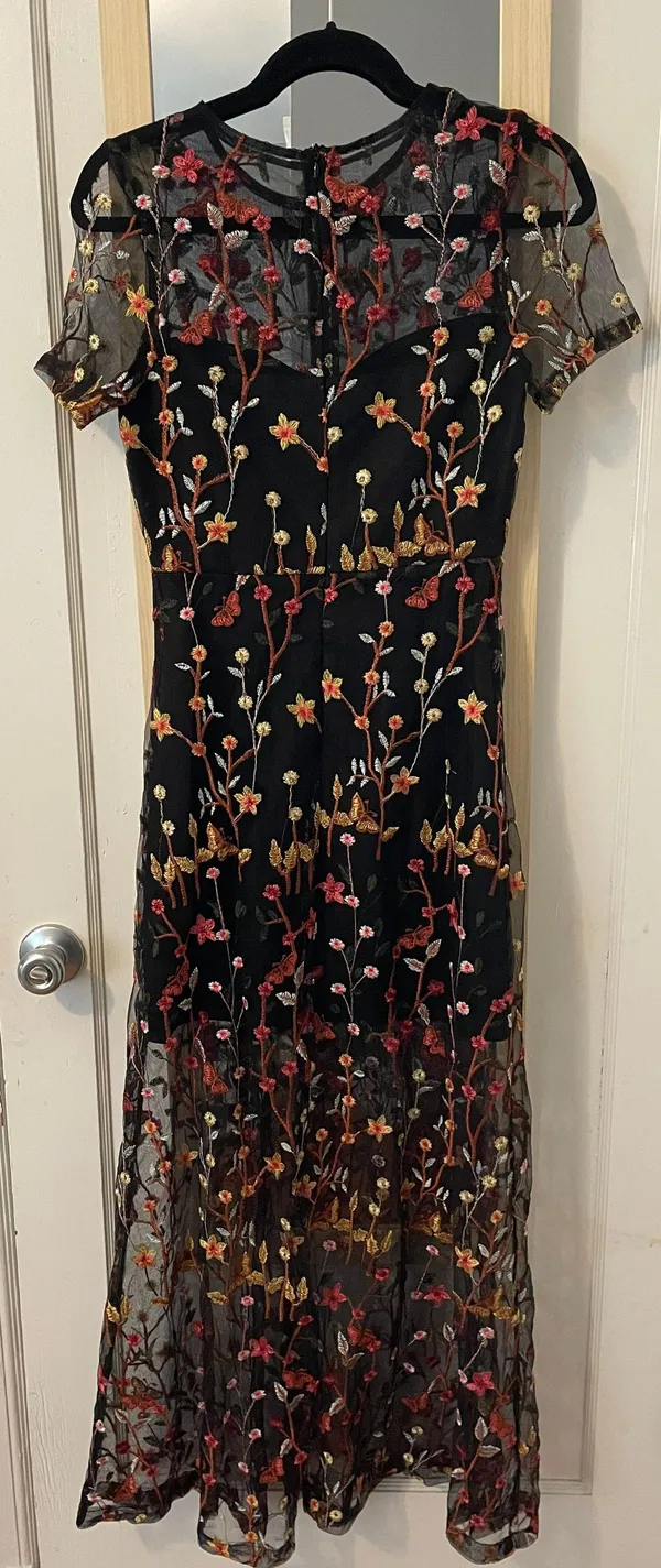 VICI Immeasurable Joy Embroidered Mesh Maxi Dress - Image 3