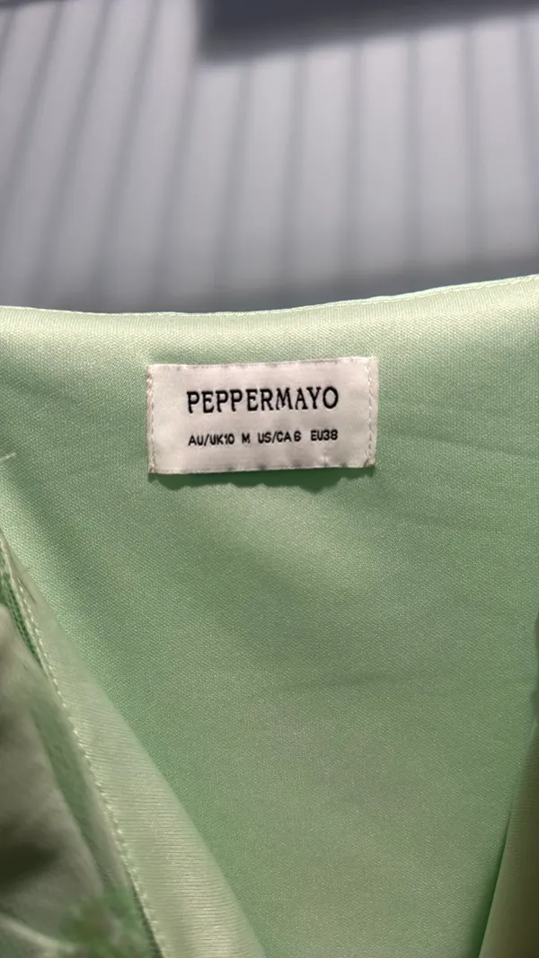 Peppermayo Zion Dress - Image 3