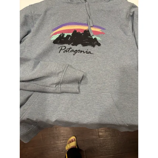 Patagonia Free Hand Fitz Roy Ahnya Hoodie Womens Large Blue Pullover - Image 3