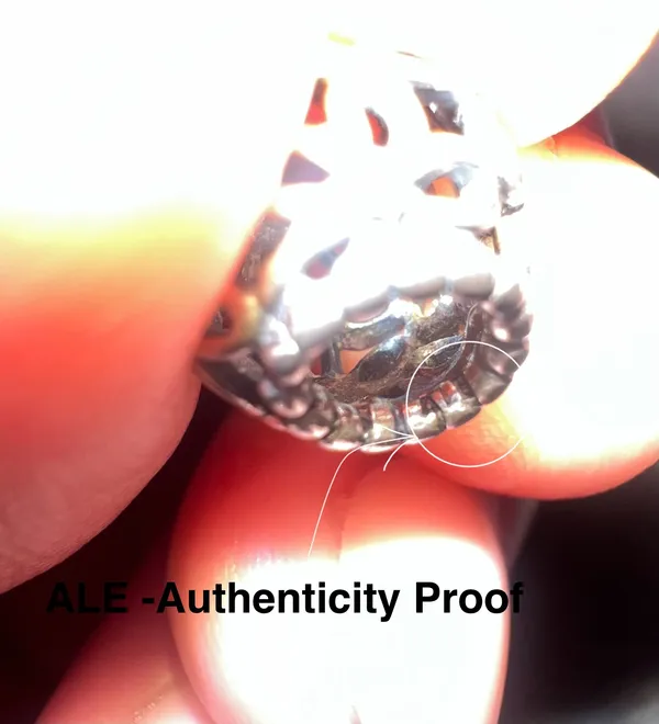 Pandora Authentic Sterling Silver Wildflower Walk Charm✨ - Image 5