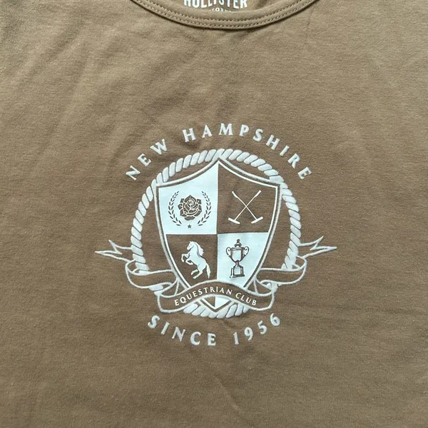 Brown Hollister Baby Tee - Image 3