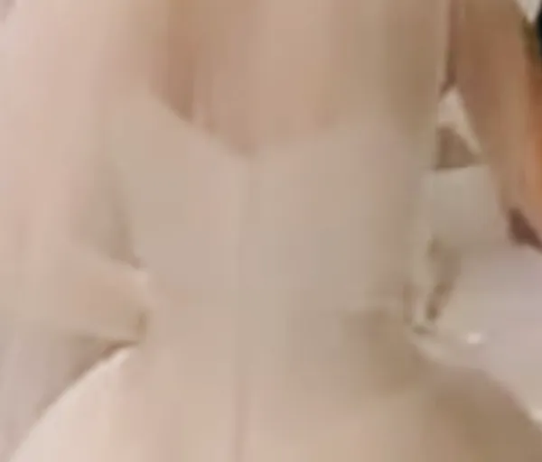 David's Bridal Wedding Dress Ivory Corset Gown Lace Tulle Princess 2 - Image 6