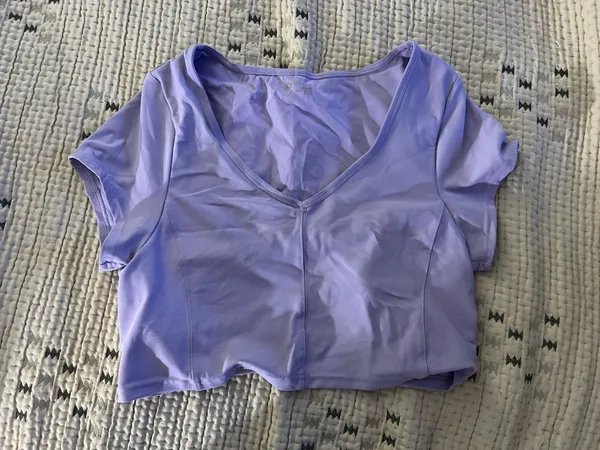 Offline by Aerie Lavender Crop Top - Image 2