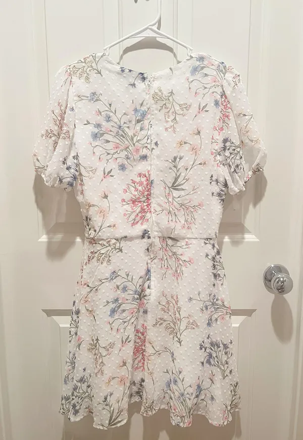 Francesca’s Dress - Image 3
