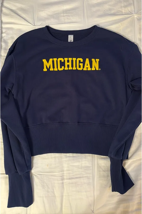 University of Michigan Cropped Sweatshirt - Image 2
