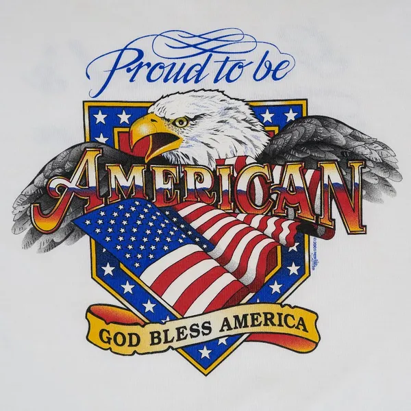 Hanes Vintage Y2K Proud to be American Bald Eagle Graphic T-Shirt - Image 2