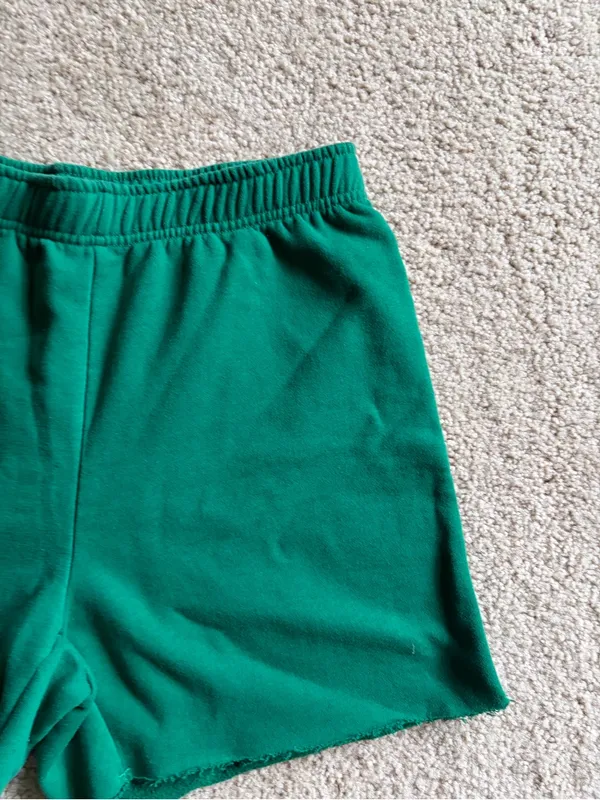 Land Rover Pacsun preppy cotton blend green raw hem shorts size medium - Image 5