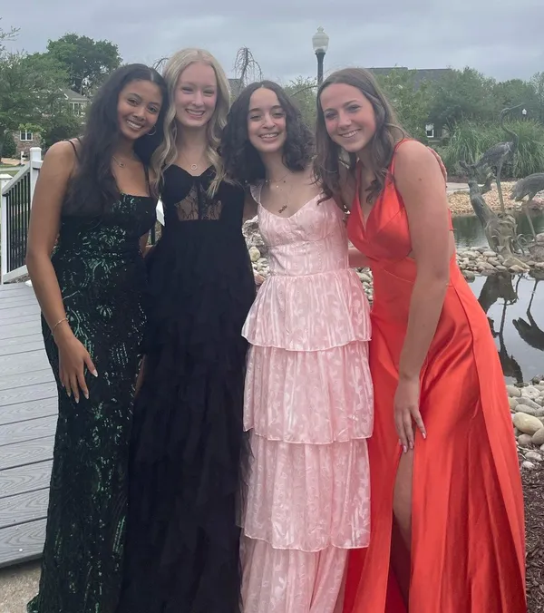David’s Bridal Prom Dress - Image 6