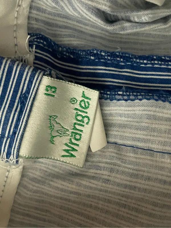 Wrangler Blue and White Striped Shorts - Image 2