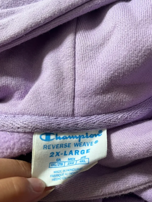 Champion Reverse Weave Hoodie - Image 5