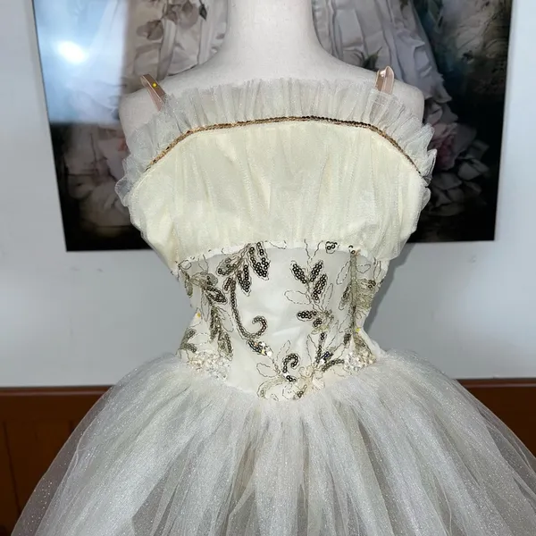 Fabulous Curtain Call Dance Costume! - Image 2