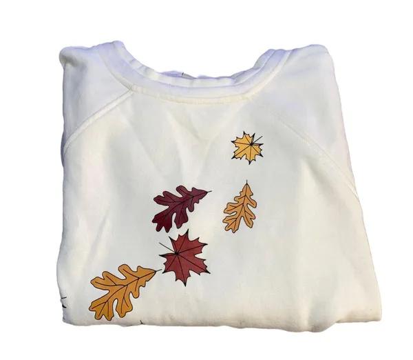 Fall Sweater Size L - Image 2