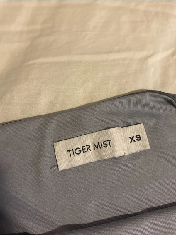 Tiger Mist Gray Sheer Strapless Top - Image 9