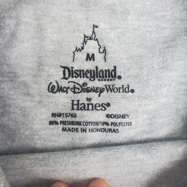 Hanes Gray Disneyland Long Sleeve Tshirt Size Medium Oversized Look - Image 3