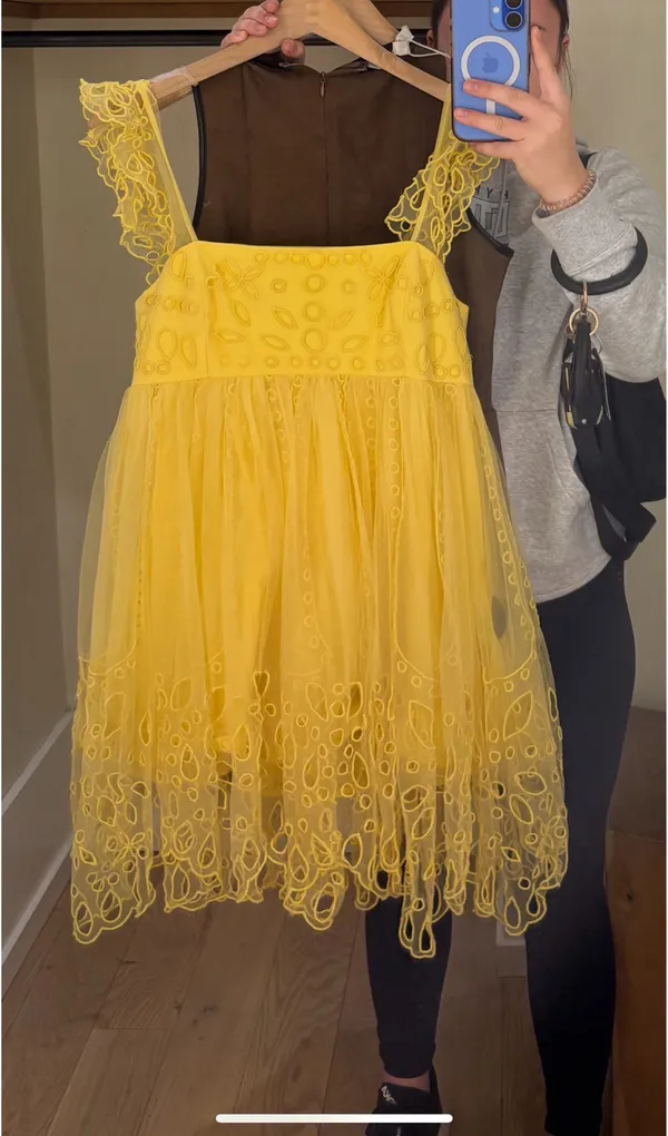 Anthropologie Let Me Be Eyelet Tulle Mini Dress - Image 2