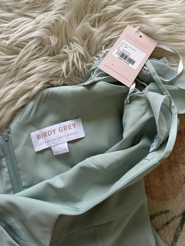 BIRDY GREY Devin Dress In Sage Chiffon - Image 6