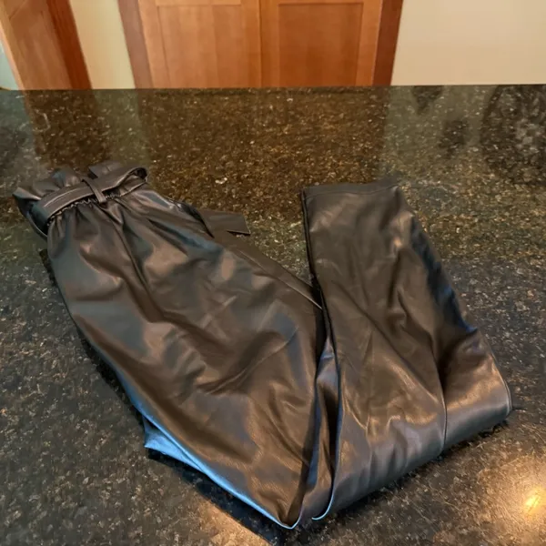 BB Dakota Faux Leather Pants - Image 4