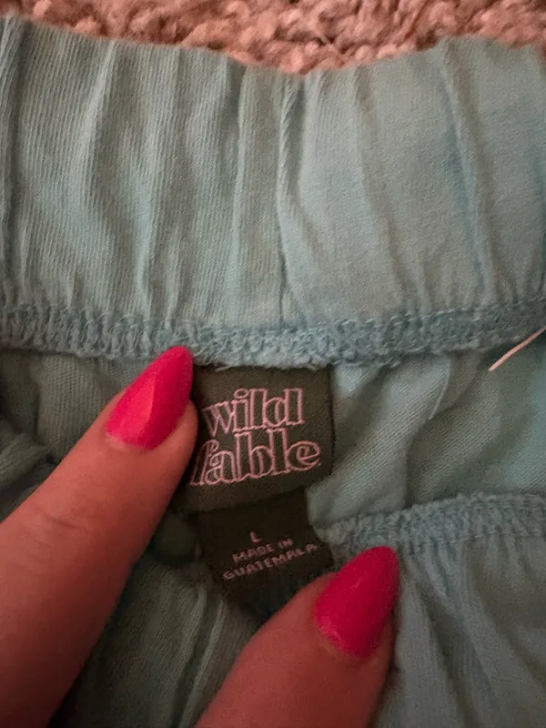 Light Blue Wild Fable Shorts - Image 2