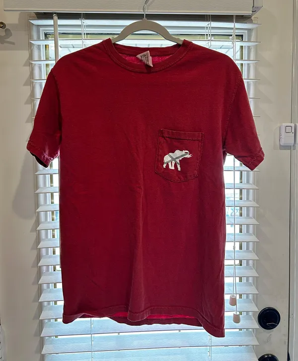Comfort Colors Bama Tee - Image 2