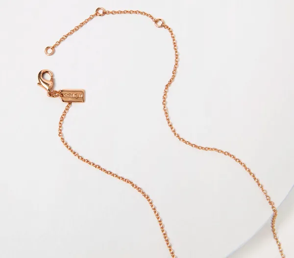 Coach Necklace & Tea Rose Stud Set - Image 2