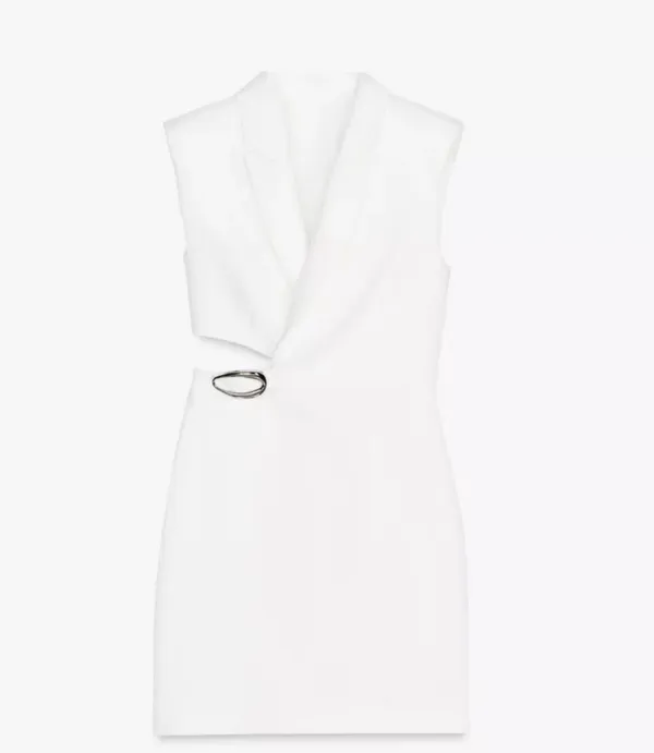 ZARA Dress - Image 4