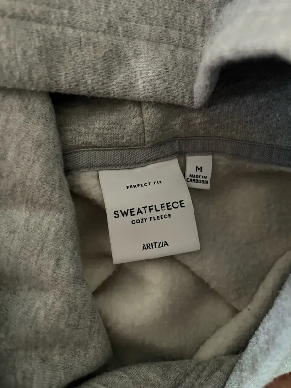 Aritzia Cozy Fleece Perfect Hoodie grey - Image 3