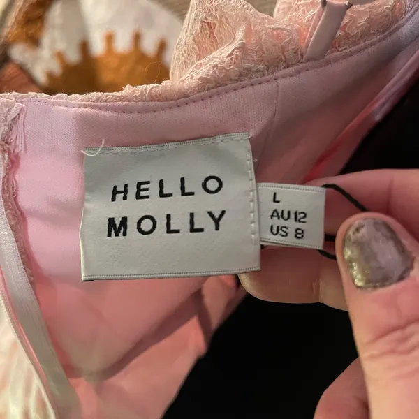 Hello Molly 🎀NWT Hello Monday Monday to Sunday Lace Off Shoulder Mini Dress in Blush Sz 8/L - Image 14
