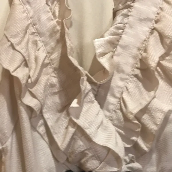 Arc and Co Victorian style ruffle dress Anthropologie M Y2K - Image 9