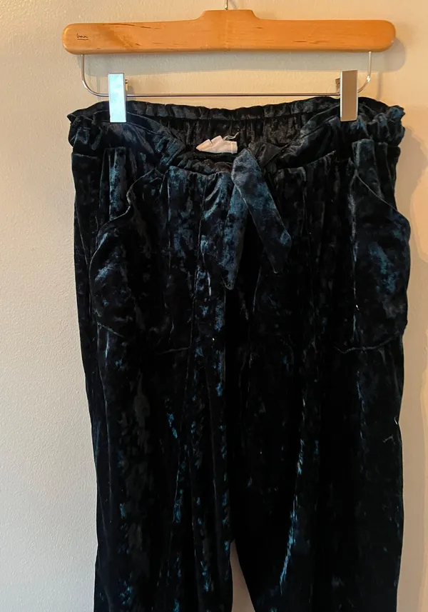Velvet Paperbag Pants - Image 2