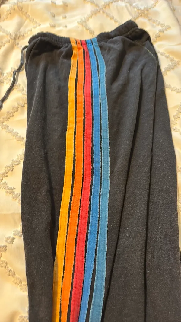 Aviator Nation Sweatpants - Image 4
