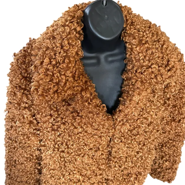 Zara Curly Faux Fur Coat Size‎ M Brown Teddy Jacket Maximalism Shearling - Image 2