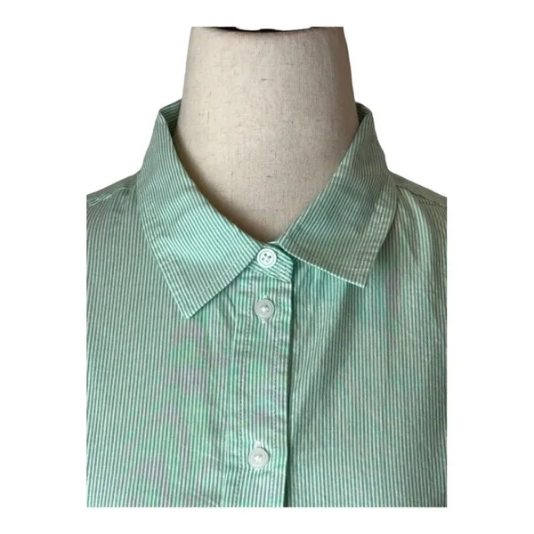 Everlane Button Down Women 4 Green White Stripe NWT Cotton Relaxed Oxford Shirt - Image 4