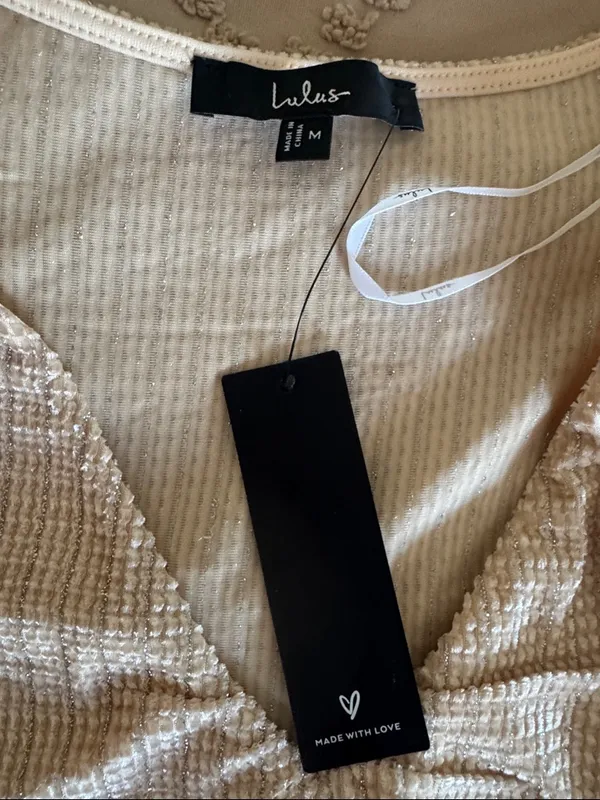 NWT: Lulus Stelly Shiny Light Beige Velvet Textured Long Sleeve Bodysuit - Image 5