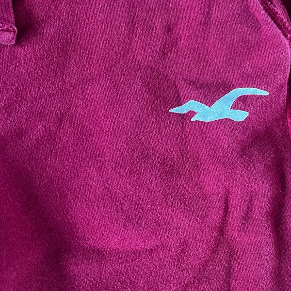 HOLLISTER Graphic Logo Deep Red Sweatpants Fleece Jogger | S - Image 5