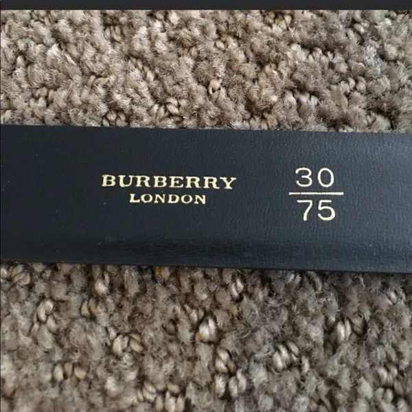 Burberry Black Leather with Gold Plaque Belt - Image 3