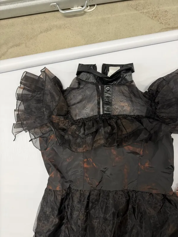 Wednesday Addams Gothic Tiered Maxi Dress Black Sheer Organza Ruffle Gown broken - Image 2