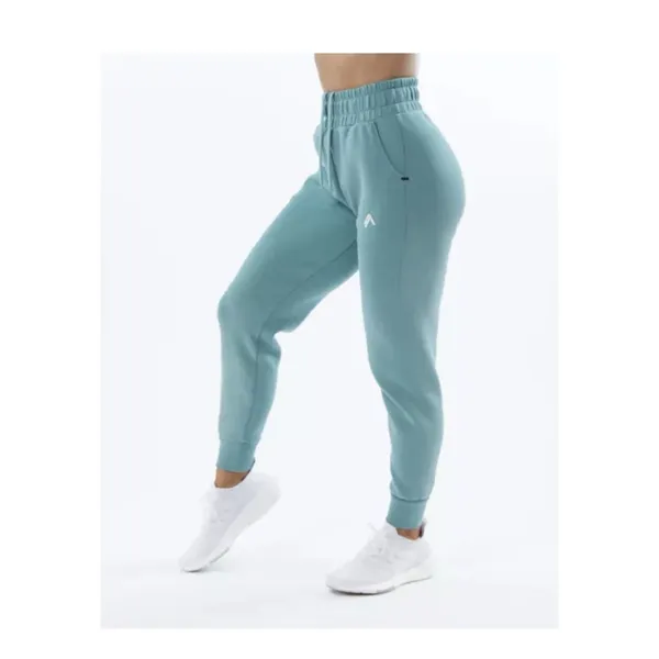 Set 2 Pcs Alphalete Women's ELMTS Short Sleeve Crop & Relaxed Coffed Jogger Teal - Image 2